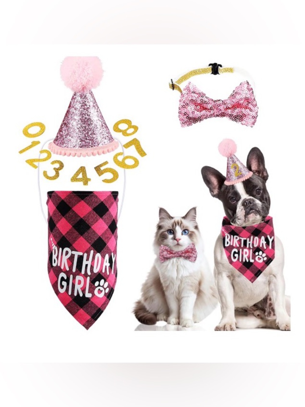 Birthday Girl Pet Party Hat & Bandana Set - Pink Plaid